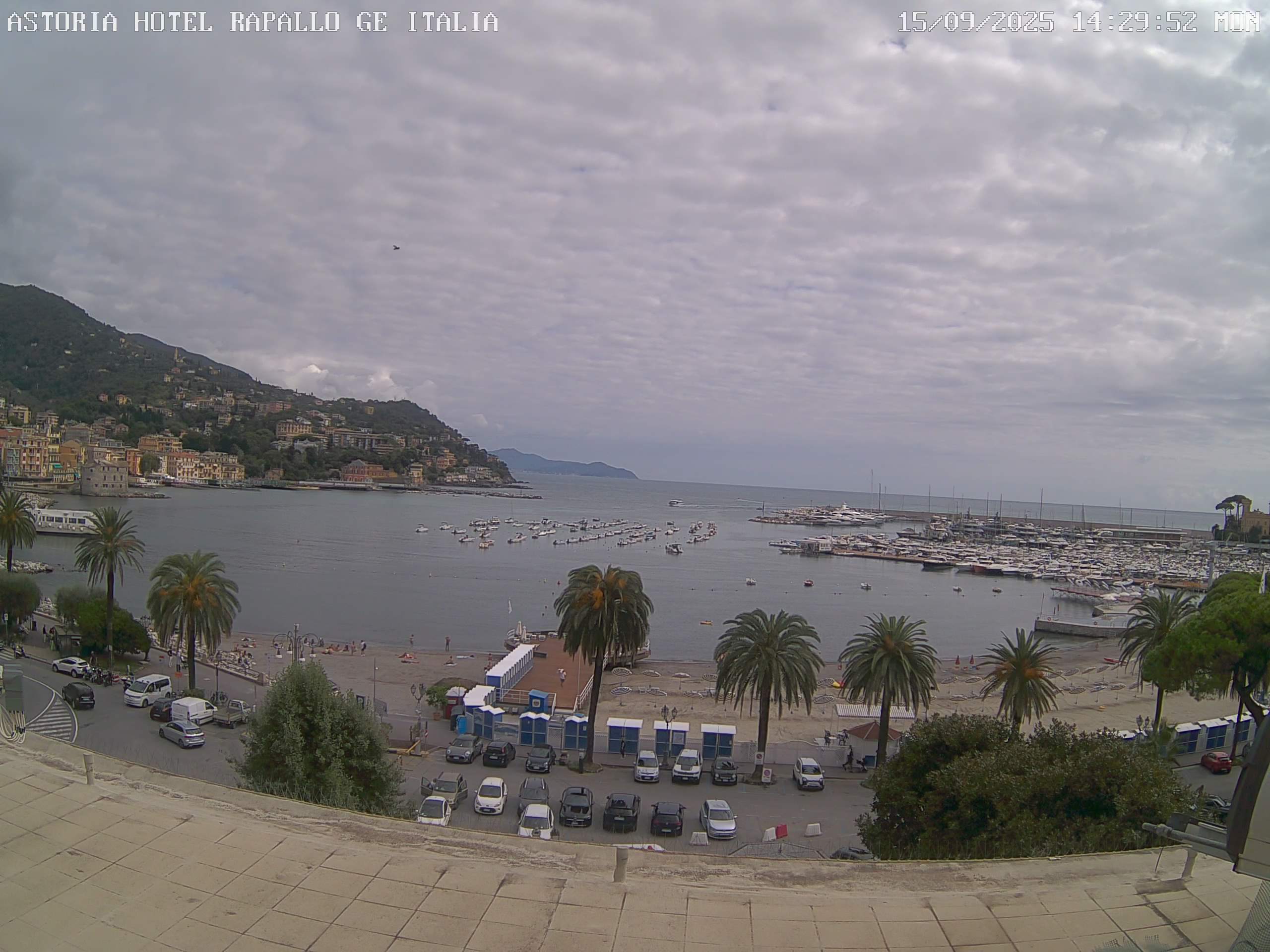 immagine della webcam nei dintorni di Zoagli: webcam Rapallo